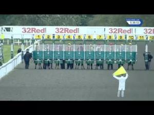 Video preview image for Kempton Park 17:20 - Racing UK Nursery