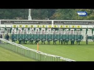 Video preview image for Haydock Park 14:00 - David Smith Travel Maiden Fillies' Stakes (Plus 10)