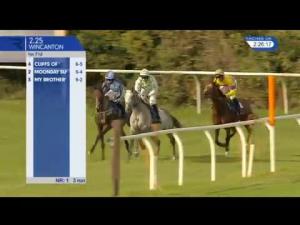 Video preview image for Wincanton 14:25 - Crestmoor Construction Handicap Hurdle