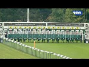 Video preview image for Haydock Park 14:35 - Crispy Cod Knowsley Road Handicap