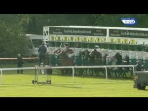 Video preview image for Haydock Park 15:10 - David Smith Famous Christmas Parties Handicap