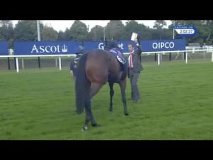Video preview image for Ascot 14:00 - QIPCO British Champions Sprint Stakes (Group 1)