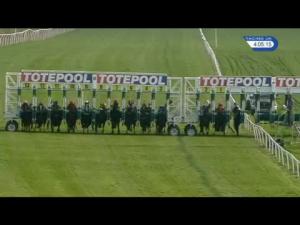 Video preview image for Catterick Bridge 16:05 - Toteexacta Handicap
