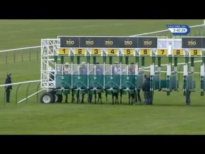 Video preview image for Newmarket 15:40 - Ar Legal Houghton Conditions Stakes (Plus 10)