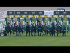 Video preview image for Newmarket 17:20 - Home Of Racing Fillies' Handicap
