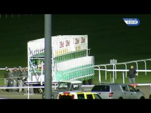 Video preview image for Kempton Park 18:20 - 32Red/british Stallion Studs EBF Maiden Stakes