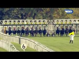 Video preview image for Newbury 13:20 - Sia Maiden Stakes (Str) (Plus 10) (Div 1)