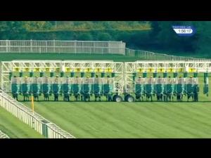 Video preview image for Newbury 13:50 - Join The Hot To Trot Syndicate EBF Stallions Maiden Stakes (Plus 10)