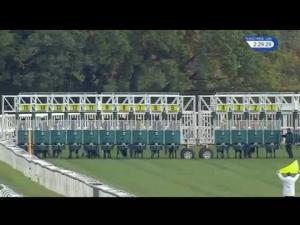 Video preview image for Newbury 14:25 - Sia Maiden Stakes (Str) (Plus 10) (Div 2)