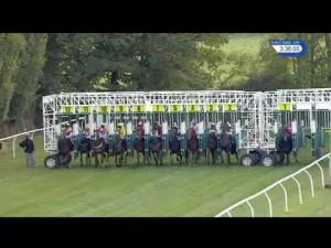 Video preview image for Newbury 15:35 - Tom's Pies Handicap (Rnd)