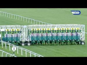 Video preview image for Newbury 16:45 - Sia 'Hands and Heels' Apprentice Handicap