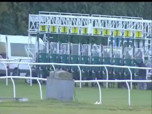 Video preview image for Newbury 17:20 - Rayner Bosch Car Service Handicap (Lady Amateur Riders)