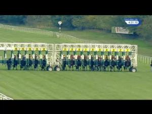 Video preview image for Newbury 16:30 - Sir Gerald Whent Memorial Nursery