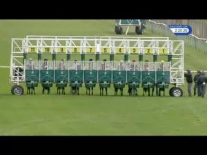 Video preview image for Redcar 14:20 - Racing UK HD On Sky 432 Nursery