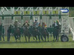 Video preview image for Catterick Bridge 13:20 - catterickbridge.co.uk Novice Stakes