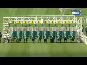 Video preview image for Catterick Bridge 13:50 - racinguk.com Handicap (Div 1)
