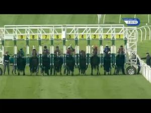 Video preview image for Catterick Bridge 14:20 - racinguk.com Handicap (Div 2)