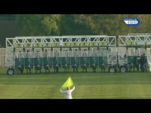 Video preview image for Catterick Bridge 16:30 - Jump Season Next On November 30th Handicap (Div 1)