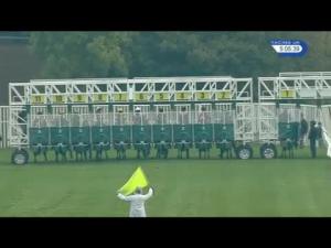 Video preview image for Catterick Bridge 17:05 - Jump Season Next On November 30th Handicap (Div 2)