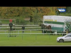 Video preview image for Nottingham 13:50 - EBF Stallions Golden Horn Maiden Stakes (Plus 10) (Div 1)