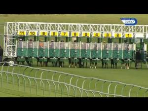 Video preview image for Nottingham 15:20 - Racing UK Profits Returned To Racing Handicap (Div 1)