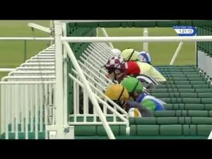 Video preview image for Newmarket 13:20 - EBF Stallions Prestige Vehicles Maiden Fillies' Stakes (Plus 10) (Div 1)