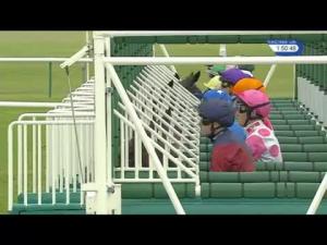 Video preview image for Newmarket 13:50 - EBF Stallions Prestige Vehicles Maiden Fillies' Stakes (Plus 10) (Div 2)