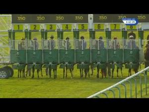 Video preview image for Newmarket 16:40 - 'Hats Off' To Steve Brown Ben Marshall Stakes (Listed)