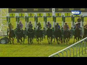 Video preview image for Ascot 16:45 - Colts & Fillies Club Novices' Hurdle