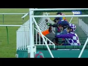 Video preview image for Newmarket 17:15 - Tracy Hawkes Handicap