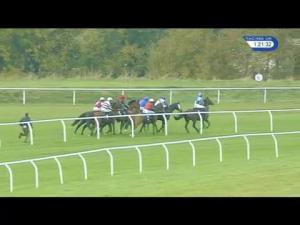 Video preview image for Huntingdon 13:20 - 32Red Casino Claiming Hurdle