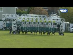 Video preview image for Redcar 13:40 - Hold Your Christmas Party Here Selling Stakes