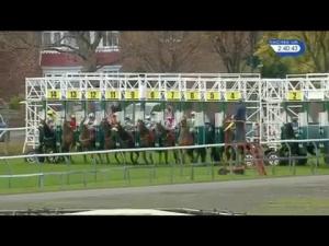 Video preview image for Redcar 14:40 - Muriel Noddings Birthday Celebration Handicap