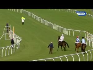 Video preview image for Newbury 12:55 - Papa John's Pizza Newbury Novices' Hurdle