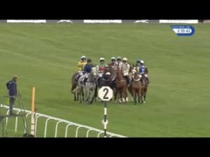 Video preview image for Newbury 14:35 - Whitley Stud Mares' Novices' Hurdle