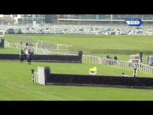 Video preview image for Newbury 15:10 - Kka-Highpoint Beginners' Chase