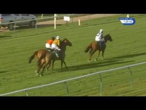 Video preview image for Warwick 13:25 - Willmott Dixon Supply Chain Novices' Hurdle