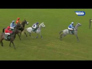 Video preview image for Warwick 14:35 - Willmott Dixon Supply Chain Handicap Hurdle