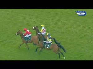 Video preview image for Warwick 15:45 - Willmott Dixon Supply Chain Handicap Chase