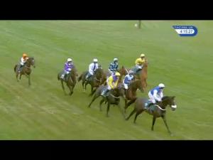 Video preview image for Warwick 16:15 - Willmott Dixon George Mernagh Memorial Mares' Standard Open NH Flat Race
