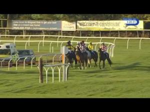 Video preview image for Wincanton 15:20 - Badger Ales Trophy Handicap Chase (Listed)
