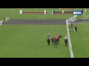Video preview image for Kempton Park 14:30 - Weatherbys Racing Diaries Novices' Chase