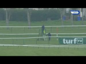 Video preview image for Ayr 15:55 - Trial Racing UK For Free Now Mares' Standard Open NH Flat Race