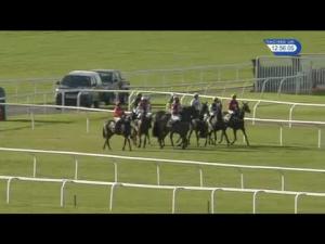 Video preview image for Cheltenham 12:55 - Glenfarclas Veterans' Handicap Chase (Qualifier)