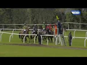 Video preview image for Wincanton 14:50 - Trial Racinguk For Free Now Chase (Novices' Limited Handicap)