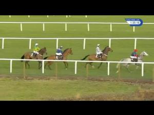 Video preview image for Ascot 13:35 - Prince's Countryside Fund Beginners' Chase