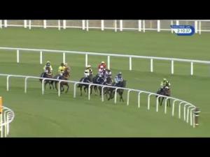 Video preview image for Ascot 14:10 - Olympus Introductory Hurdle