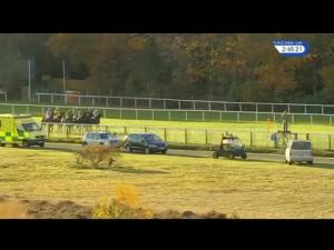 Video preview image for Ascot 14:45 - Winkworth Handicap Chase