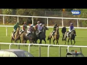 Video preview image for Ascot 12:25 - Mitie Events & Leisure Novices' Hurdle
