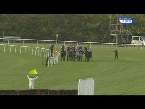 Video preview image for Huntingdon 14:50 - Cambridge News & Media Handicap Hurdle